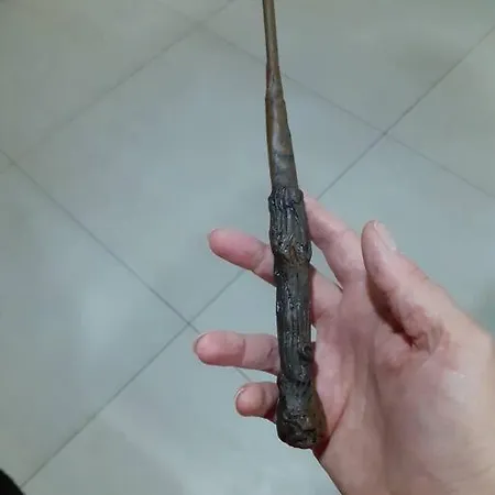 Aventure, Entier + Escape Game !